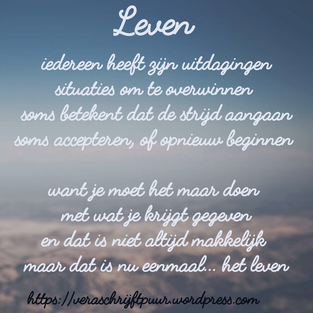 Leven – Vera Schrijft Puur - Het Leven Uit Een Dag Samenvatting
