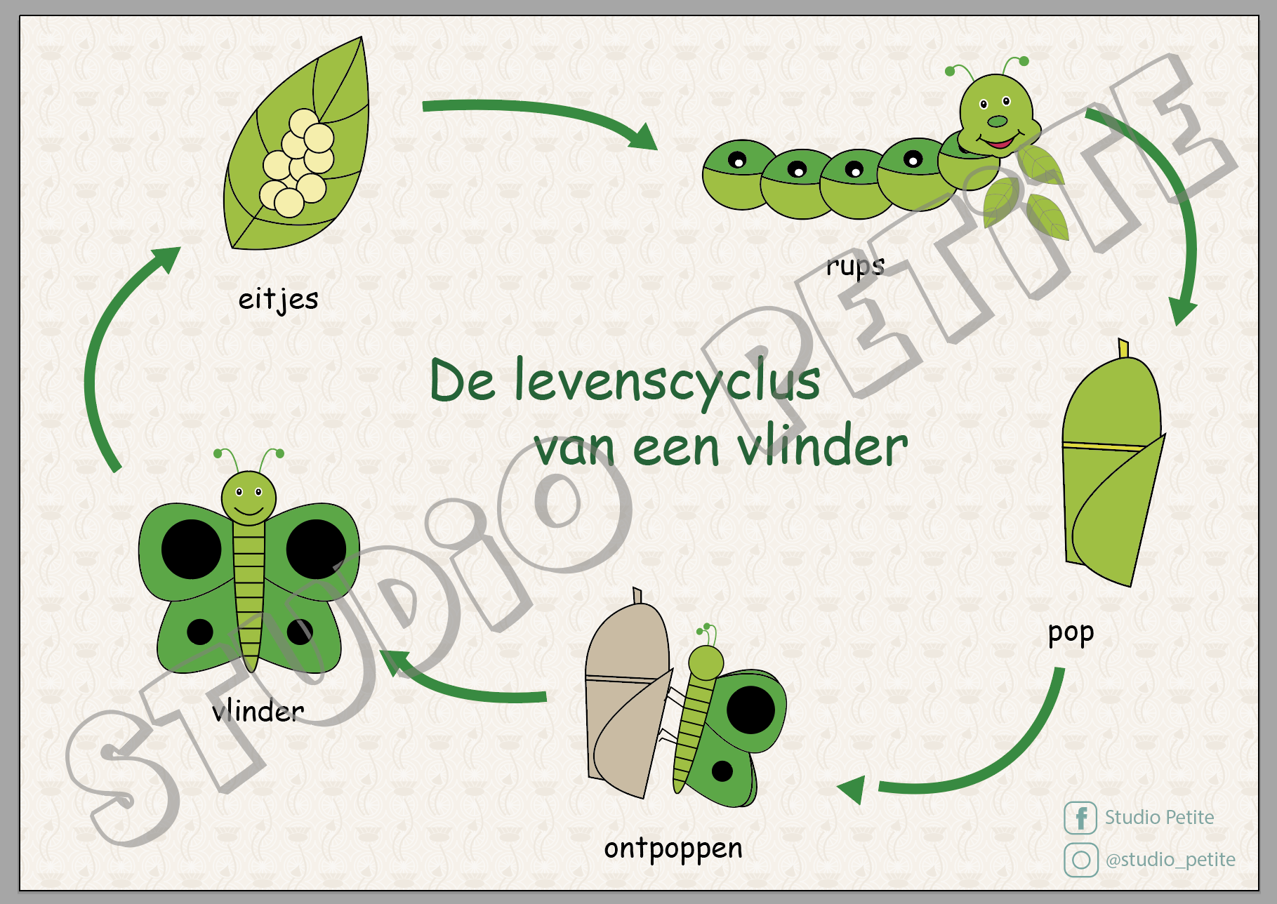Levenscyclus vlinder thema vlinders kleuter | Vlinders, Levenscyclus, Thema - Hoe Lang Leeft Een Vlinder Gemiddeld