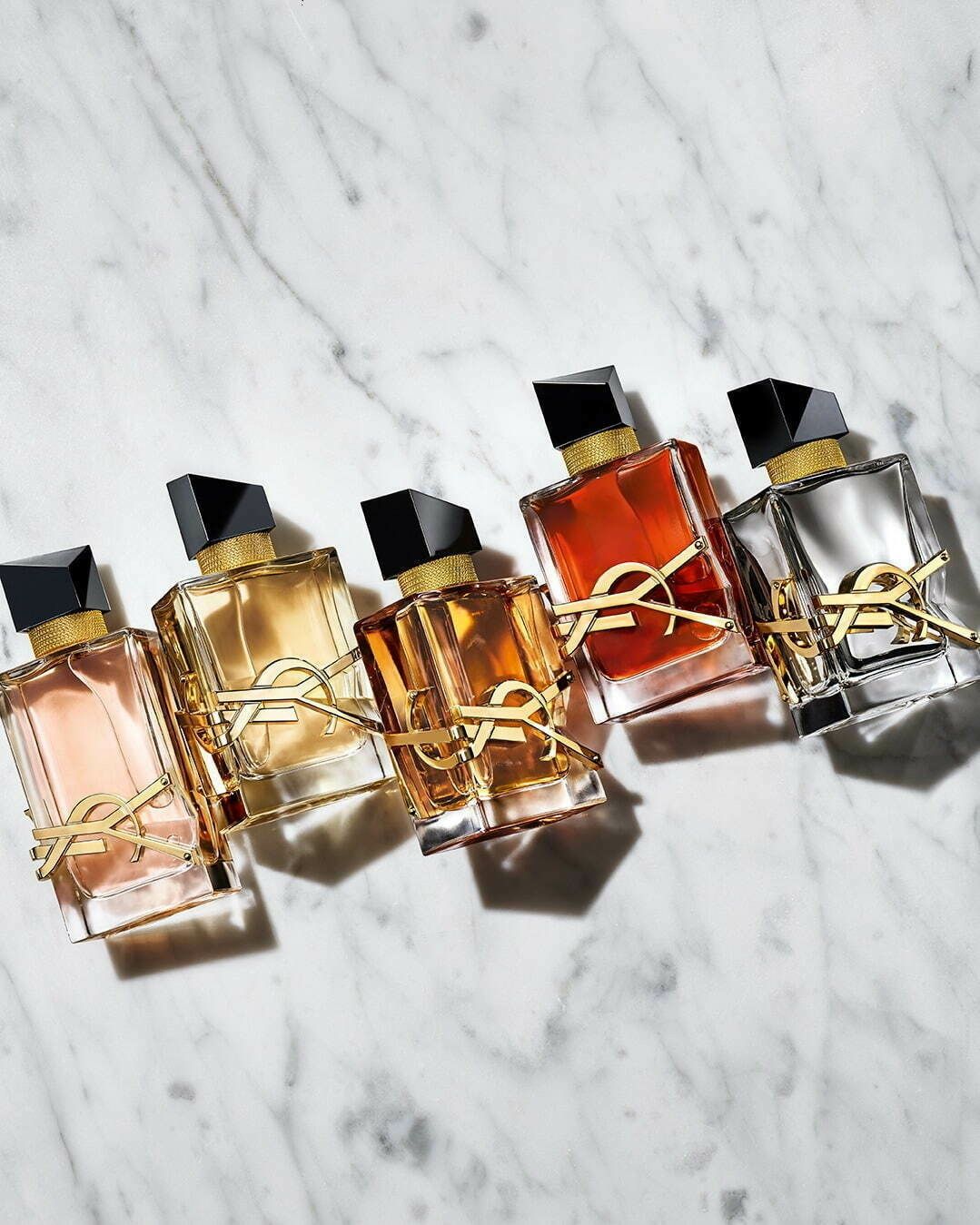 Libre L'Absolu Platine Yves Saint Laurent Parfum - ein neues Parfum für - Libre Service Junior 1 Havo/vwo