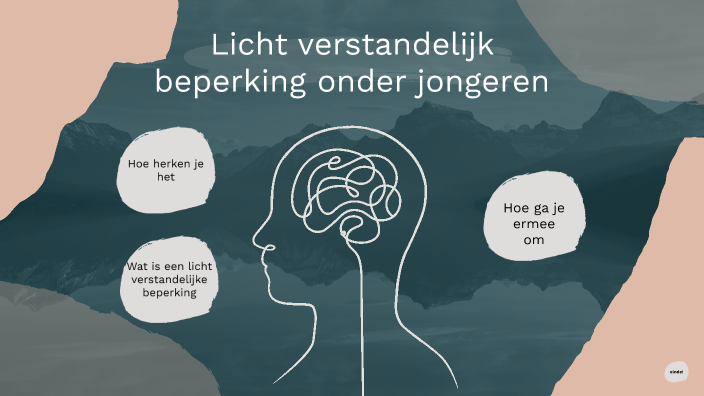 Licht verstandelijk beperkte by Kes Menting on Prezi - Verschil Tussen Licht En Matig Verstandelijke Beperking