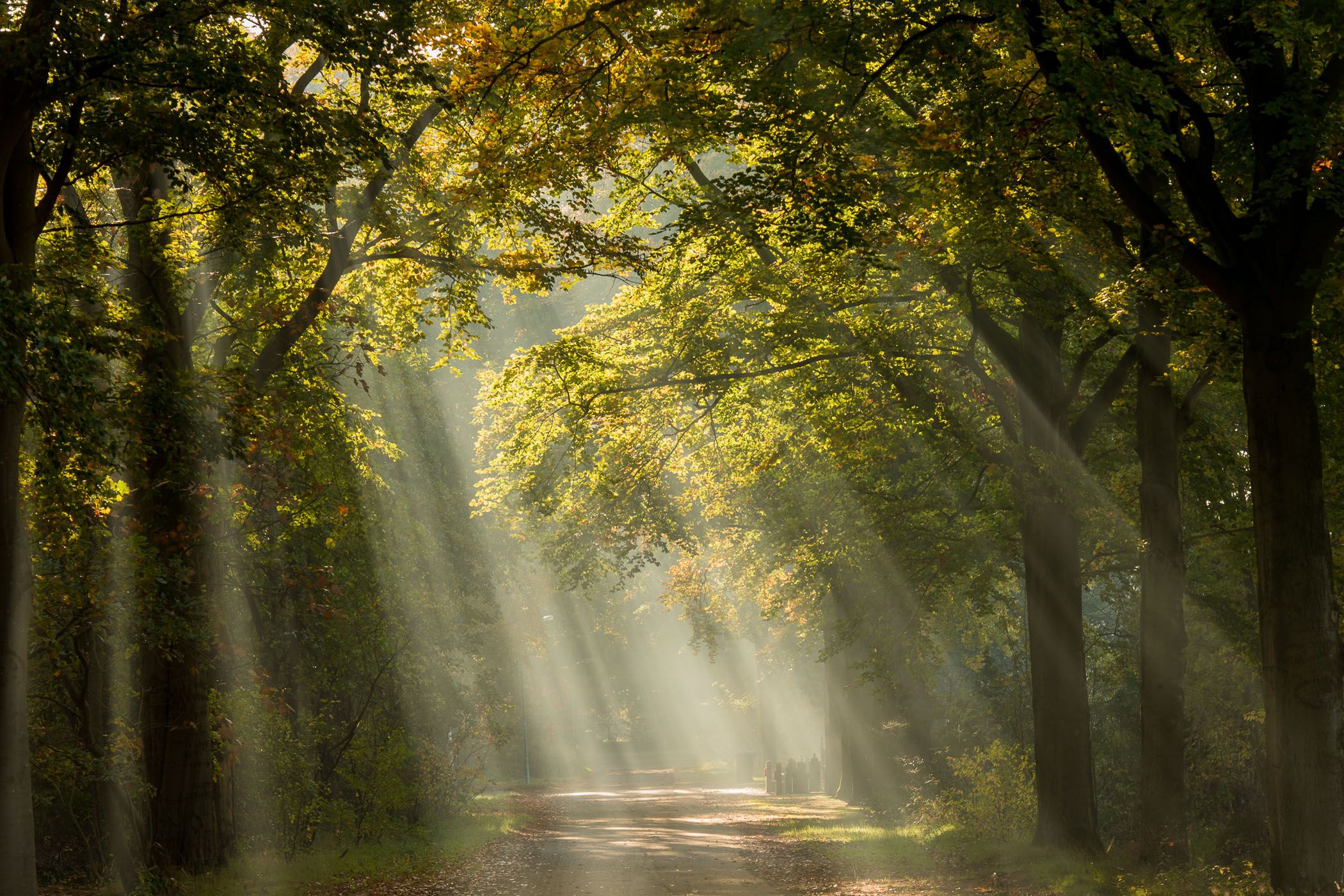 Lichtstralen fotograferen hoe doe je dat – Artofit - Waar Is De Zon Van Gemaakt