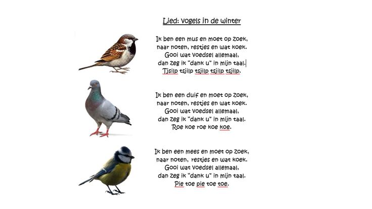 Lied Over De Winter