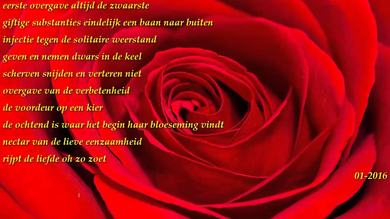 Liefdesgedichten Voor Haar - Lief Gedicht Voor Haar