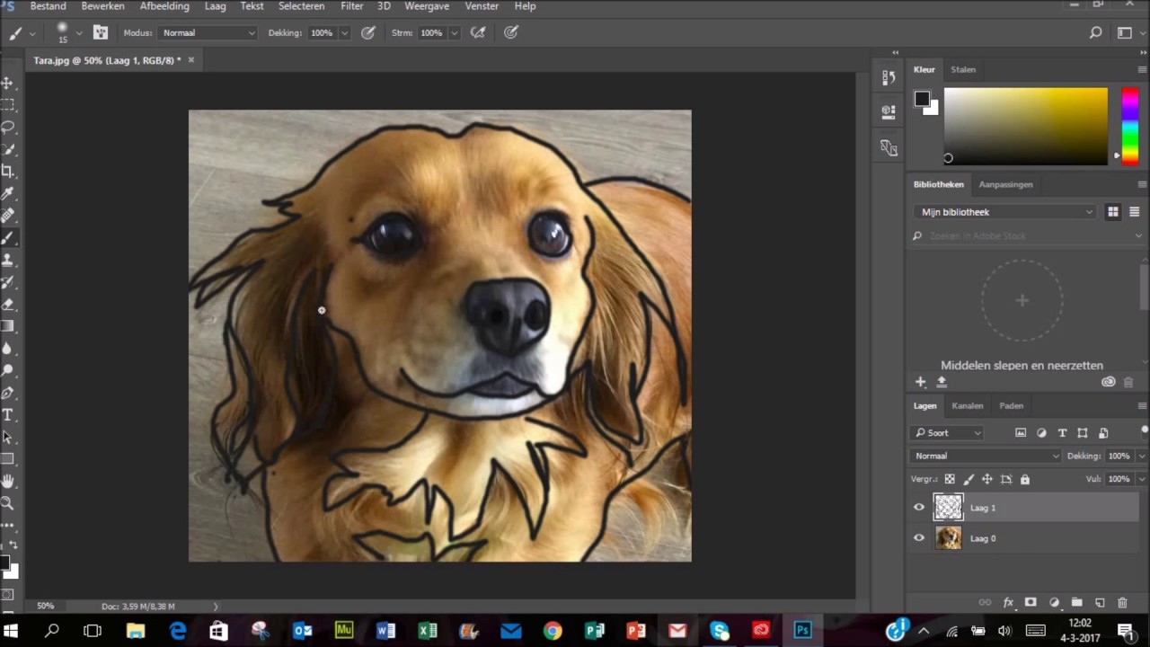 Lijn Tekening Maken Van Foto