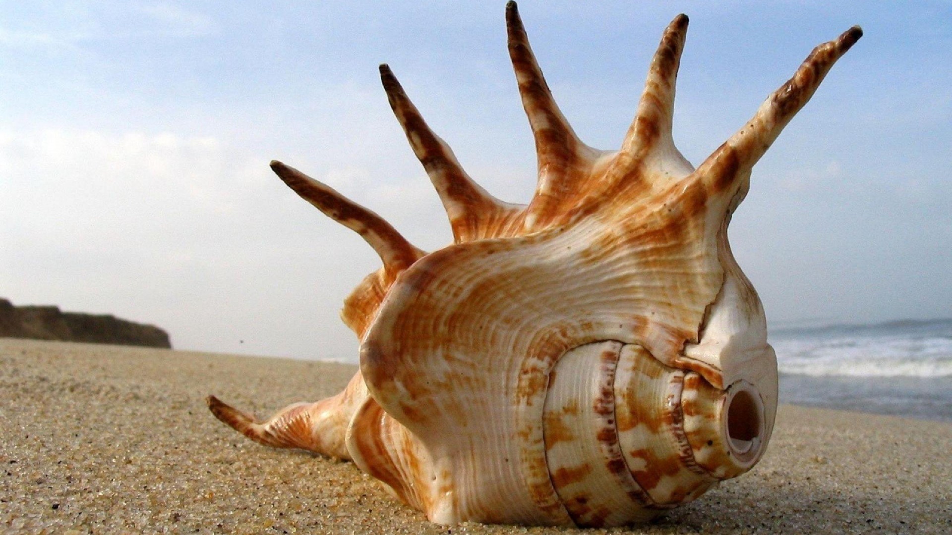 lish(1) -- a limited shell - Shell Projects & Technology Rijswijk