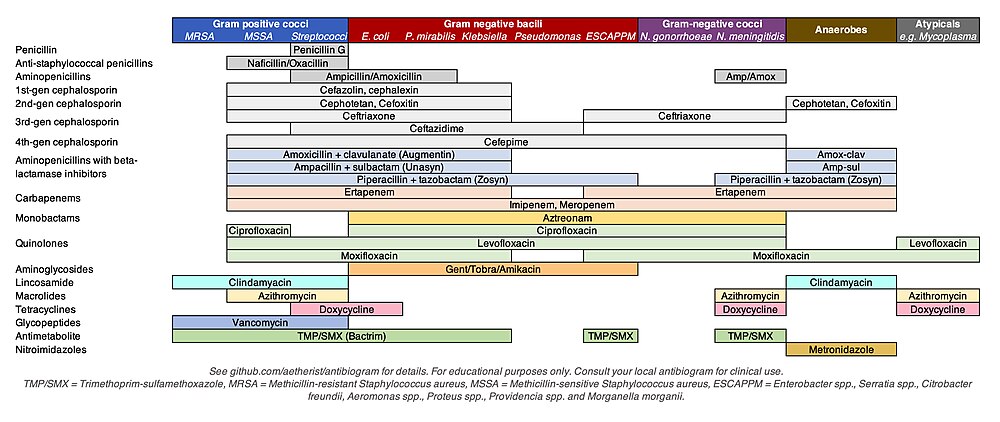 List of antibiotics - Wikipedia - Hoeveel Soorten Antibiotica Zijn Er