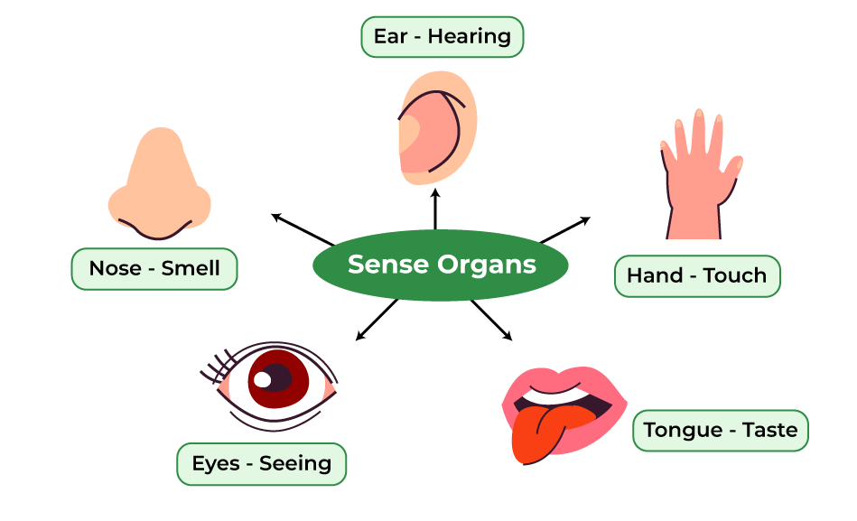 Sense Of An Ending The
