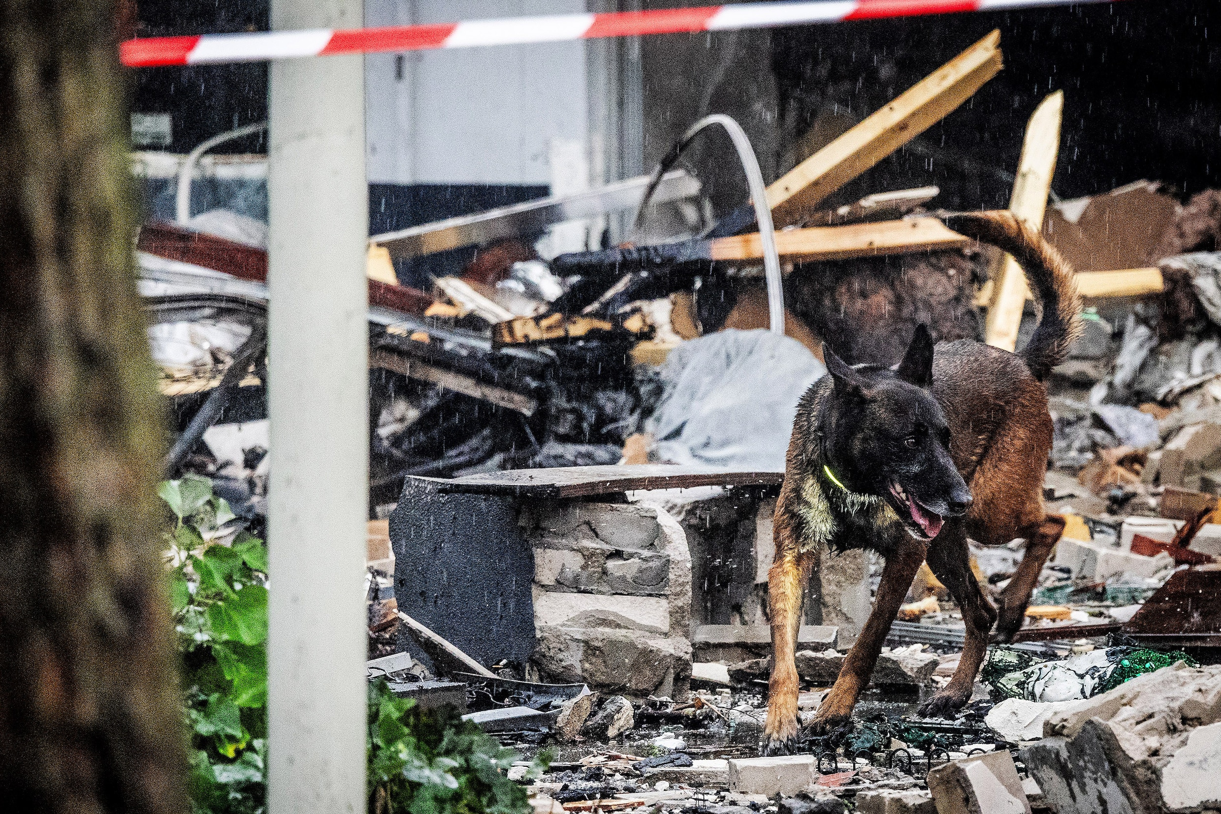 Live explosie Den Haag: Gebied Tarwekamp wordt vuurwerkvrije zone - Een Kleine Explosie Om Van U Een Krantenkop Te Krijgen