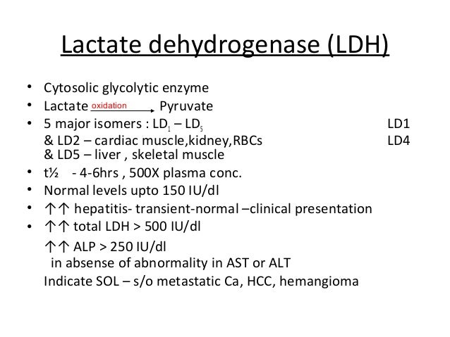 Liver function test - Wat Is Ld In Bloed