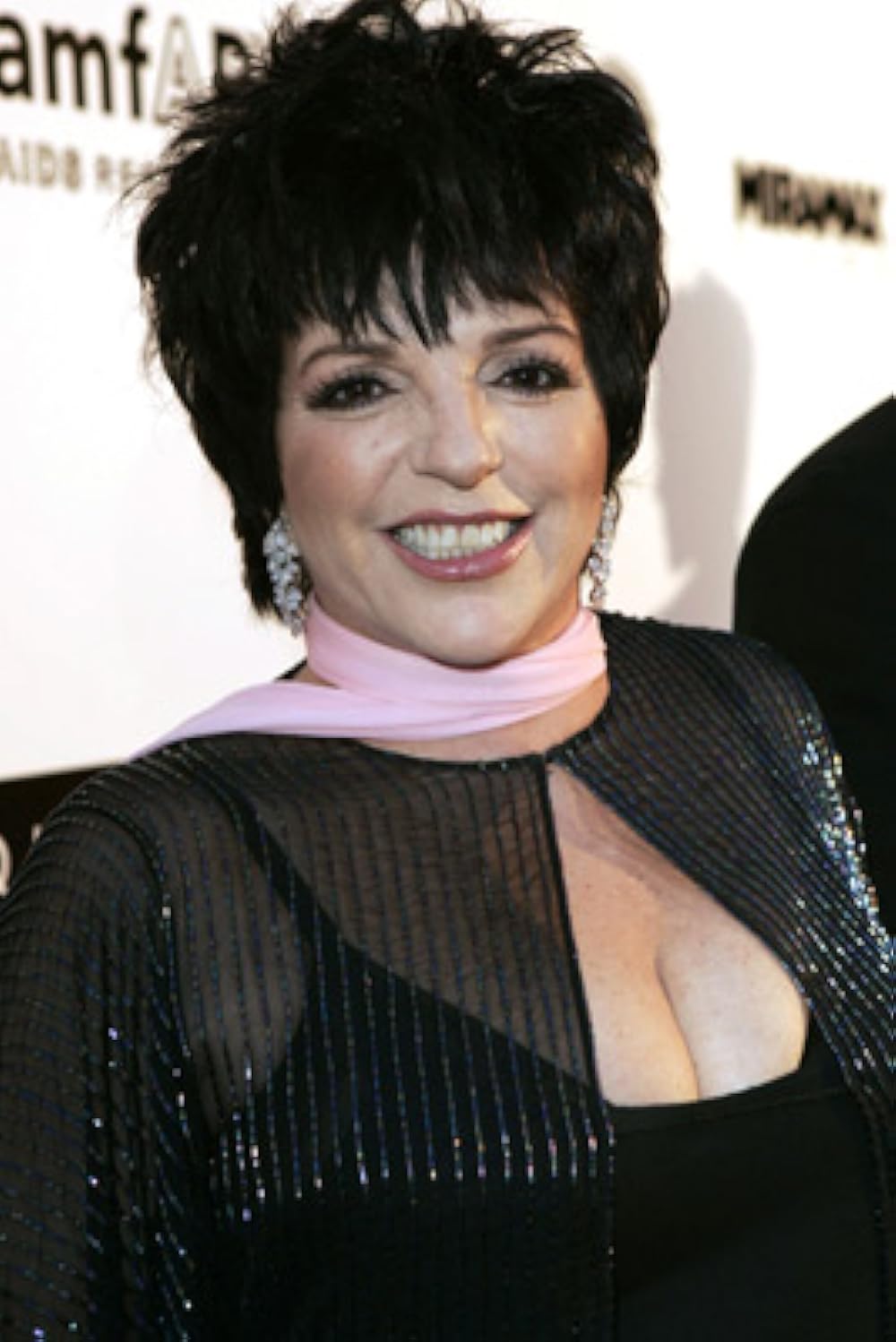 Liza Minnelli: A Journey Through Movies And TV Shows In 2024 - Liza Sips Goede Tijden Slechte Tijden