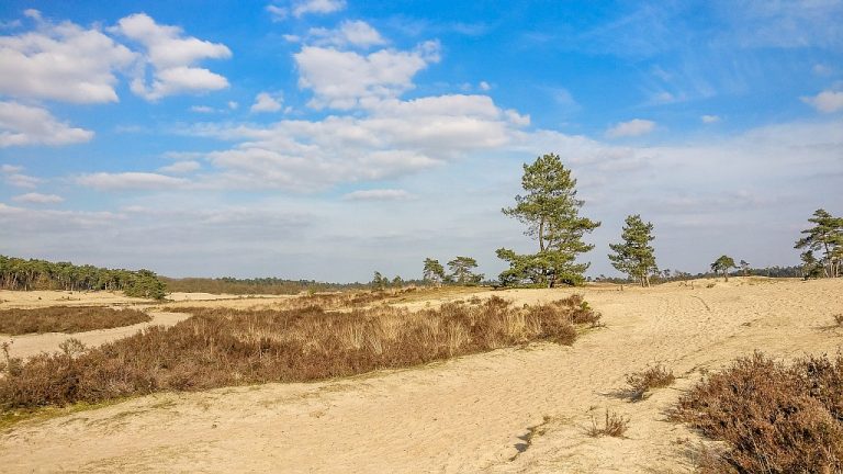 Loonse en Drunense Duinen National Park | Exploring the Netherlands - Loonse En Drunense Duinen National Park