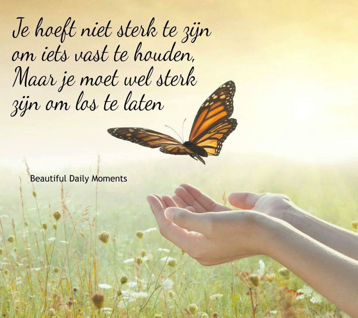 Loslaten Beautiful Quotes, Beautiful Words, Love Quotes, Inspirational - Troostende Woorden Innige Deelneming Teksten Toon Hermans