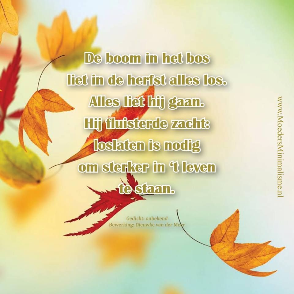 Lyric Quotes, Lyrics, Special Words, Losing Everything, Friends In Love - Wat Is Herfst In Het Engels