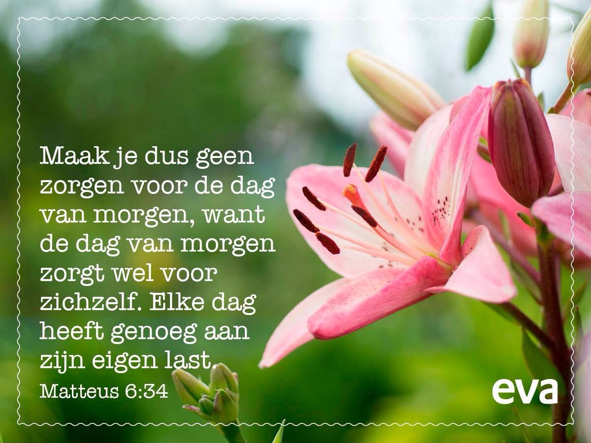 Voor Een Dag Van Morgen Hans Andreus