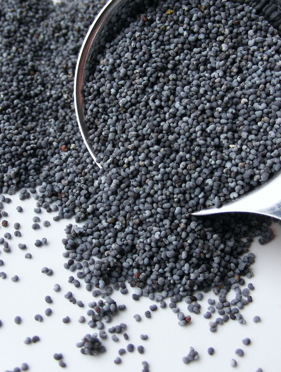 Maanzaad En Opium Zijn Producten Van Dezelfde Plant