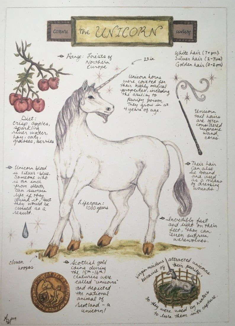 Magical Creatures Mythology, Mythological Creatures, Fantasy Creatures - Hoe Heet De Wolfshond Uit Harry Potter