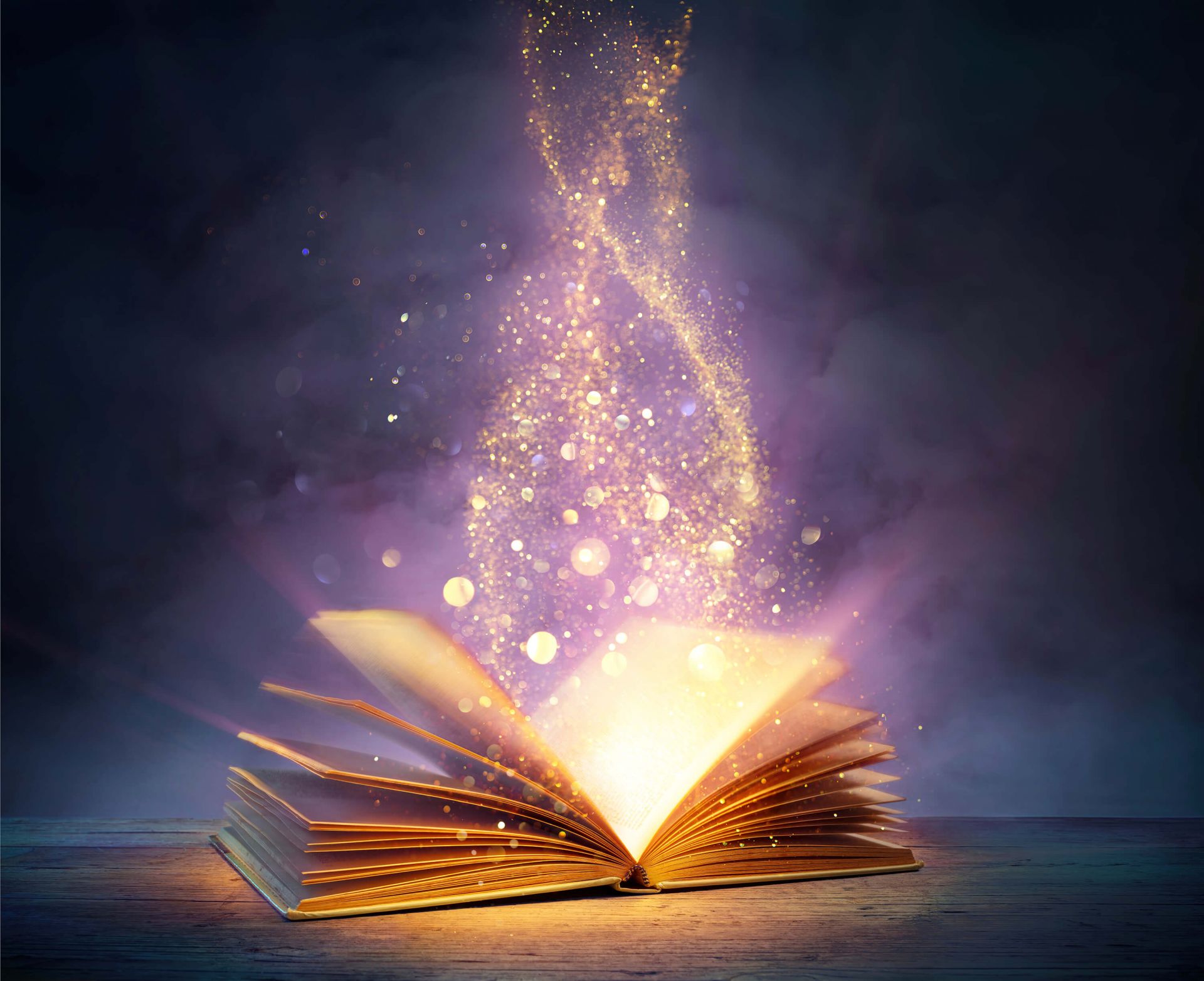 Boek Gejaagd Door De Wind