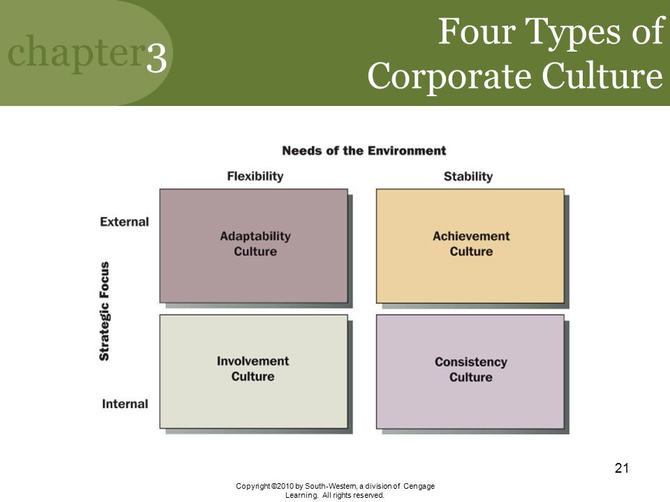 MANAGEMENT RICHARD L. DAFT. The Environment and Corporate Culture - Daft Organization Theory And Design