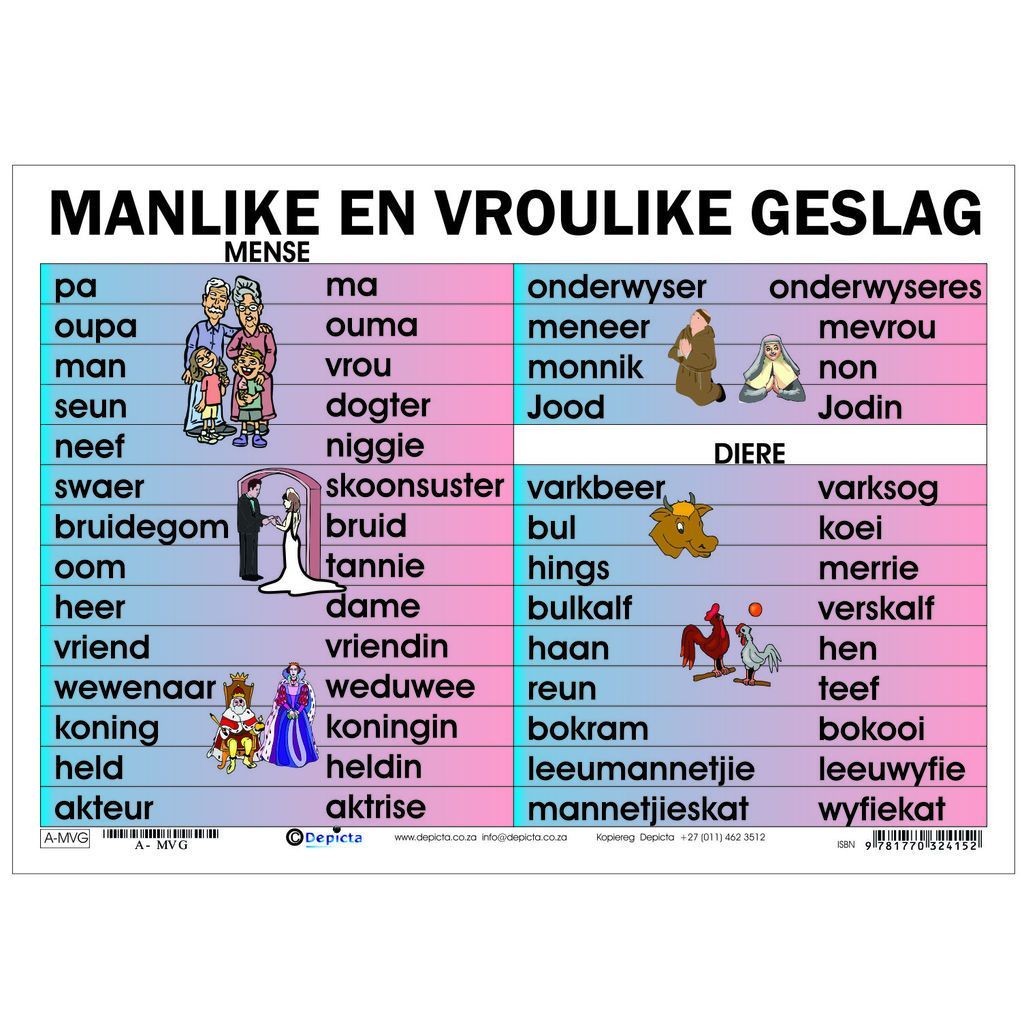 Manlike en Vroulike Geslag Kaarte Wall charts depicting different names - Hoe Noem Je Een Vrouwelijke Olifant