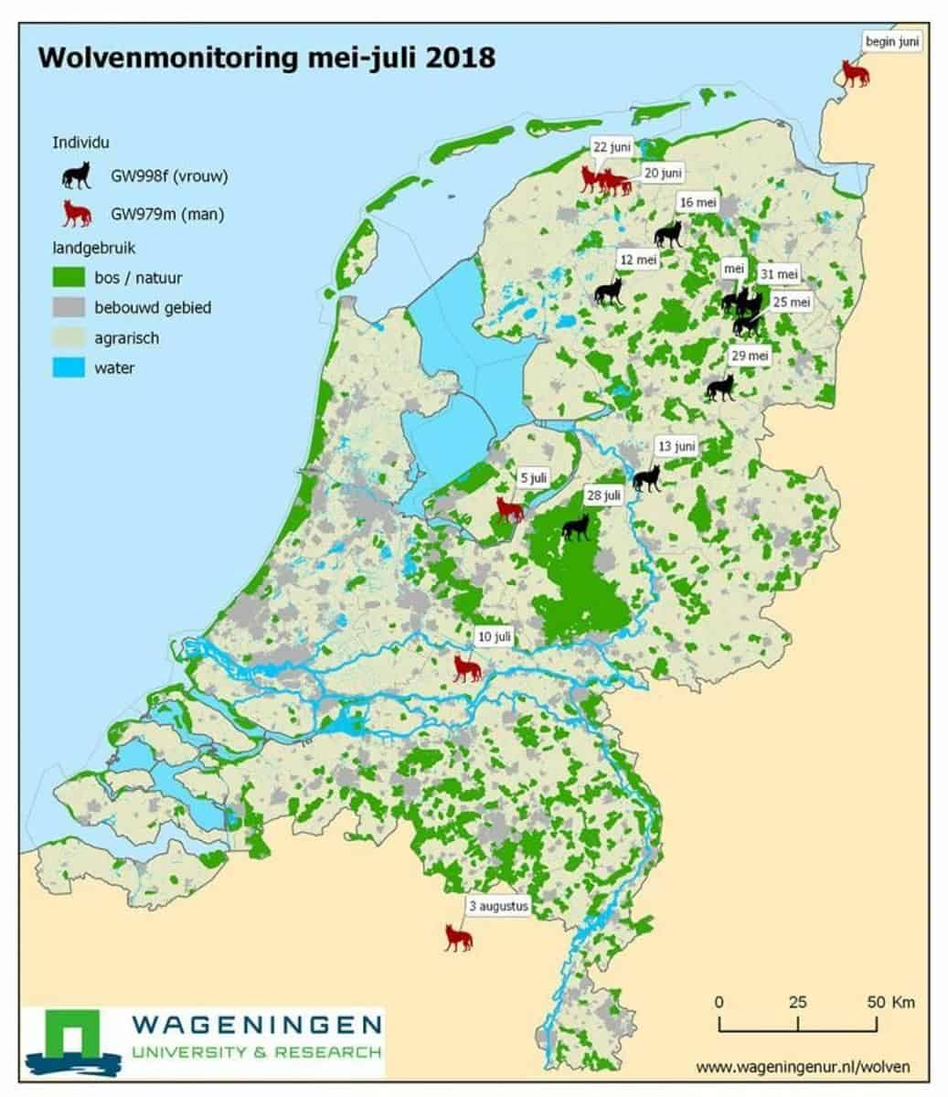 maps 17834.jpg - European Wilderness Society - Waar Komt De Wolf Voor In Nederland