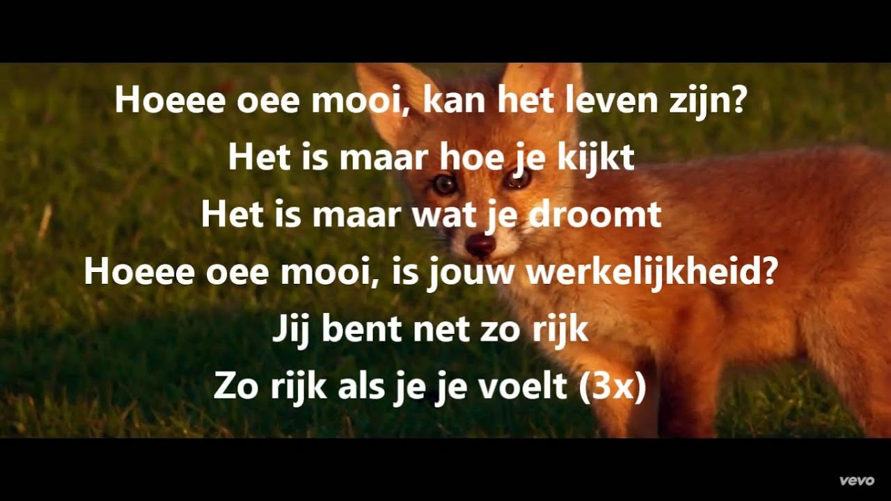 Marco Borsato Hoe Mooi Kan Het Leven Zijn Songtekst