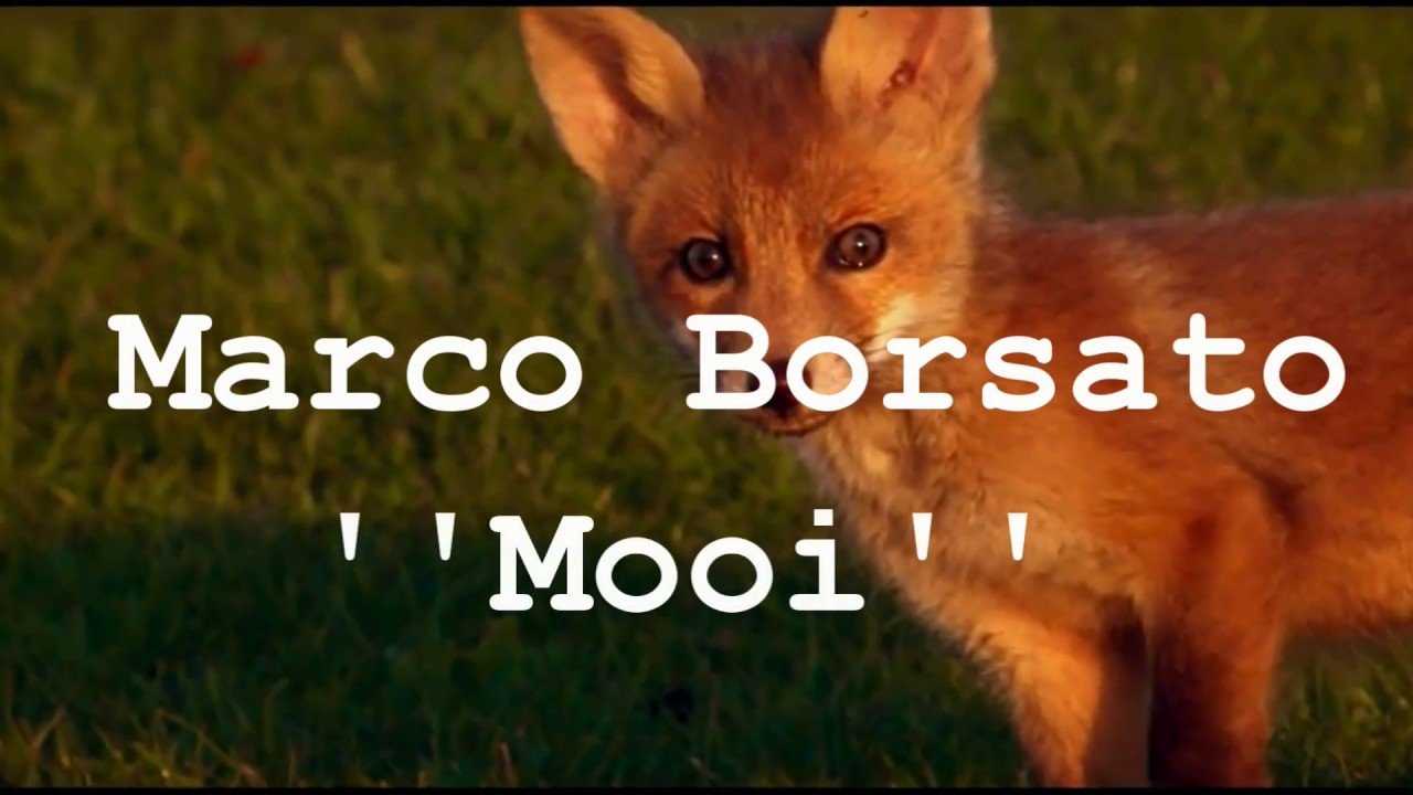 Marco Borsato - Mooi (Official Songtekst) - YouTube - Marco Borsato Hoe Mooi Kan Het Leven Zijn Songtekst