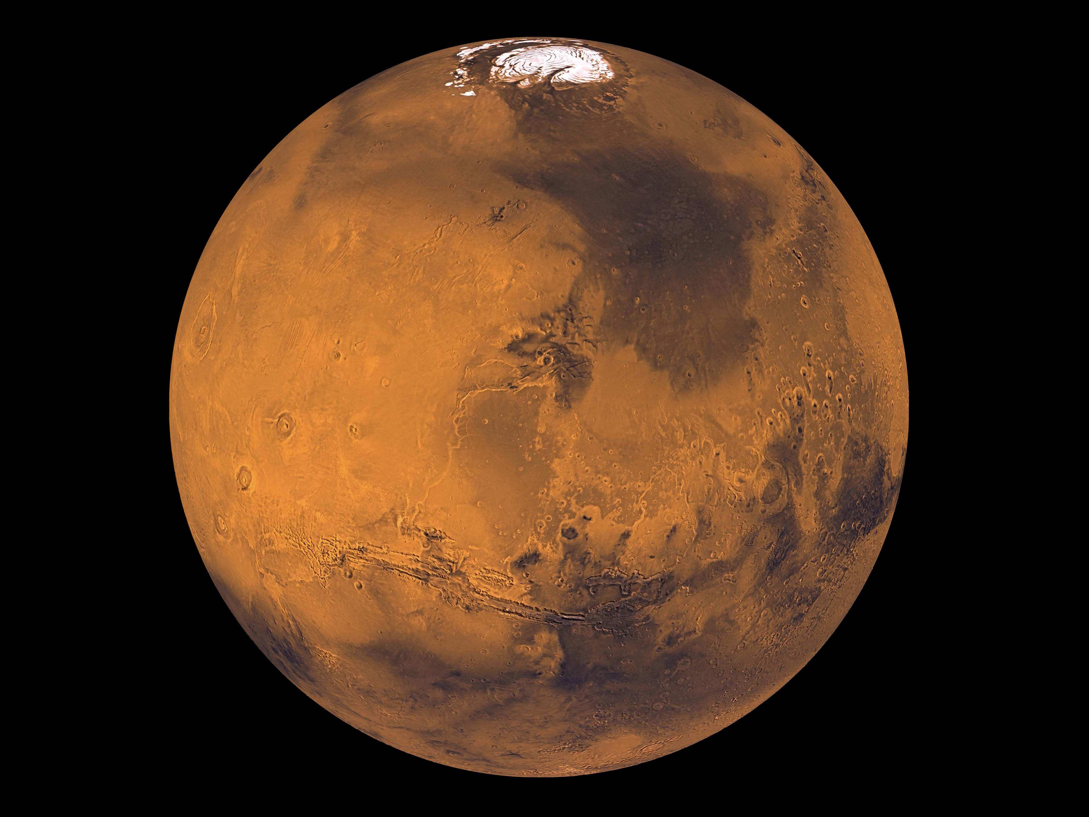 Mars Voor Het Leven 2024