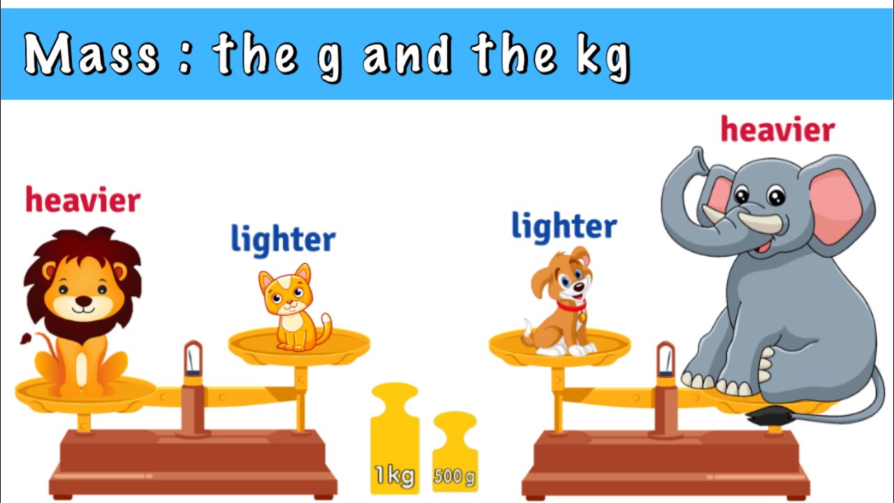 Hoeveel Is 1 Ons In Gram