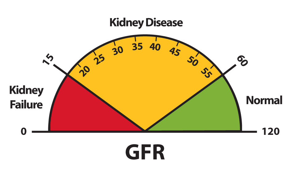 Wat Is Gfr In Het Bloed