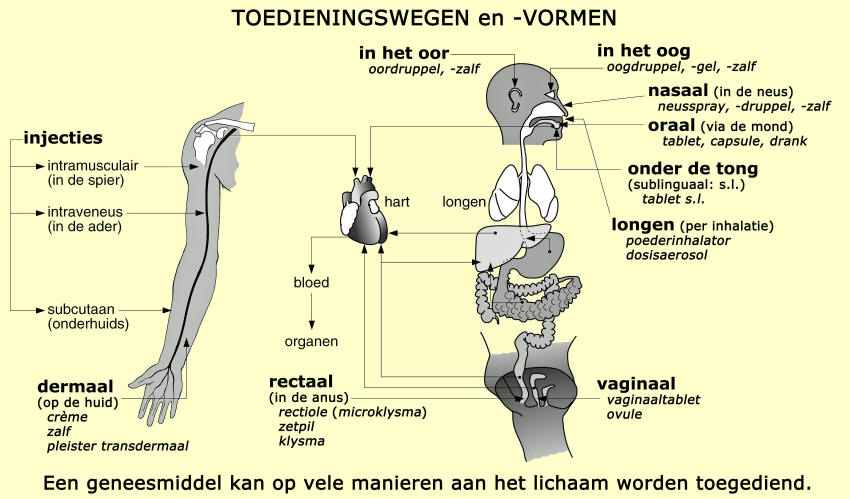 Welke Toedieningsvorm Kent Een Systemische Toedieningsweg
