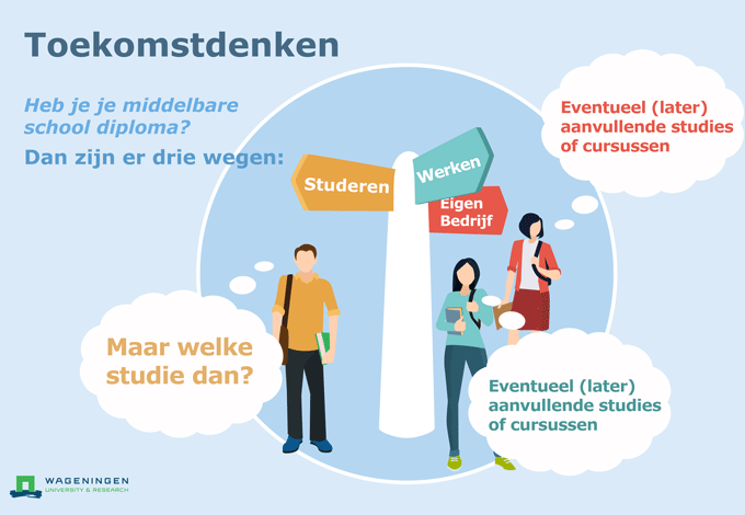 Studeren In Amerika Na Havo