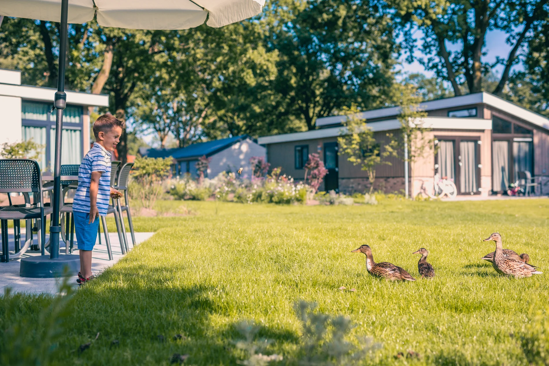 Meivakantie 2024 | EuroParcs - Mei Vakantie Midden Nederland 2024