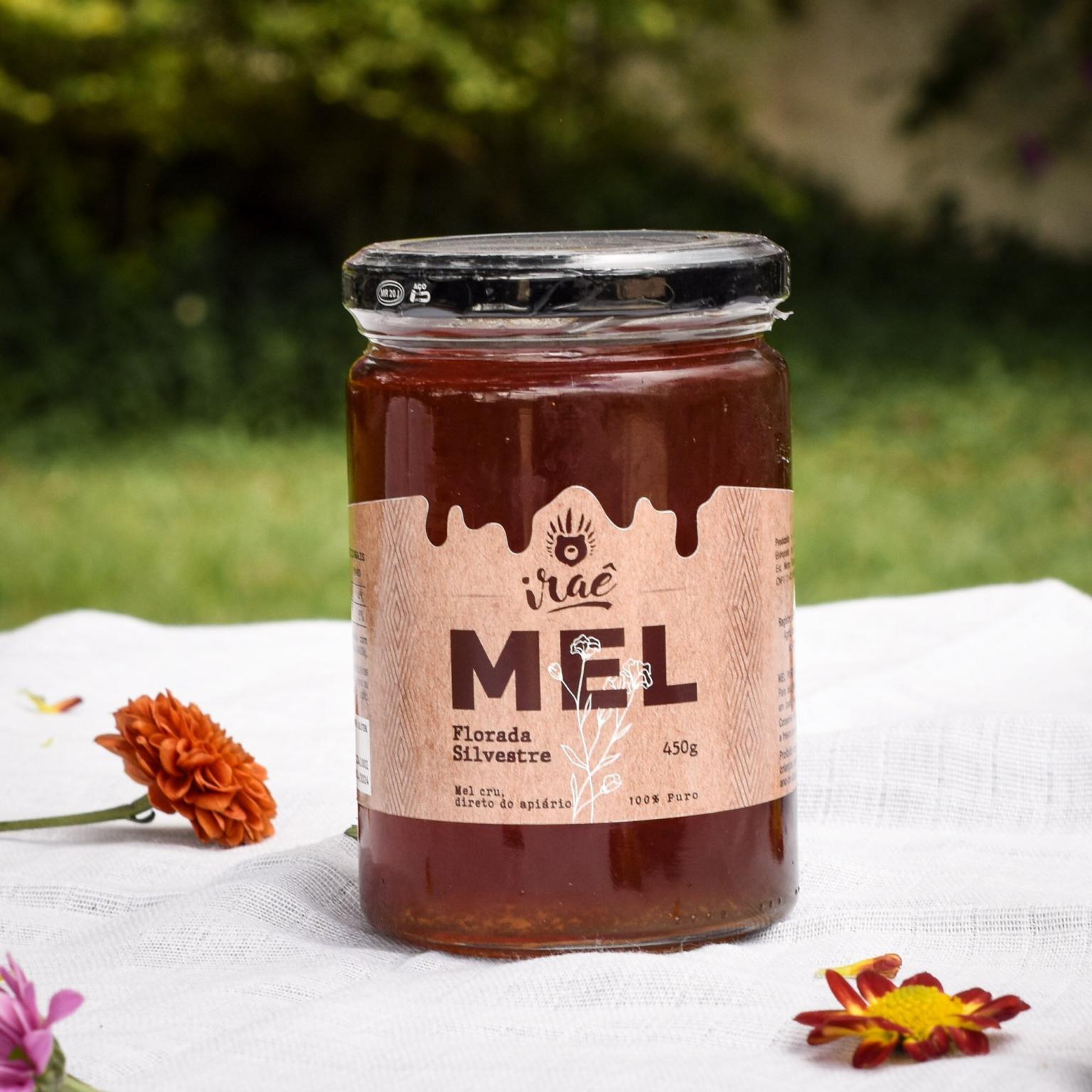 Mel VIDRO 450g – Florada Silvestre Mel.com.br (Loja Oficial) - Mel Wallis De Vries Vlucht Samenvatting