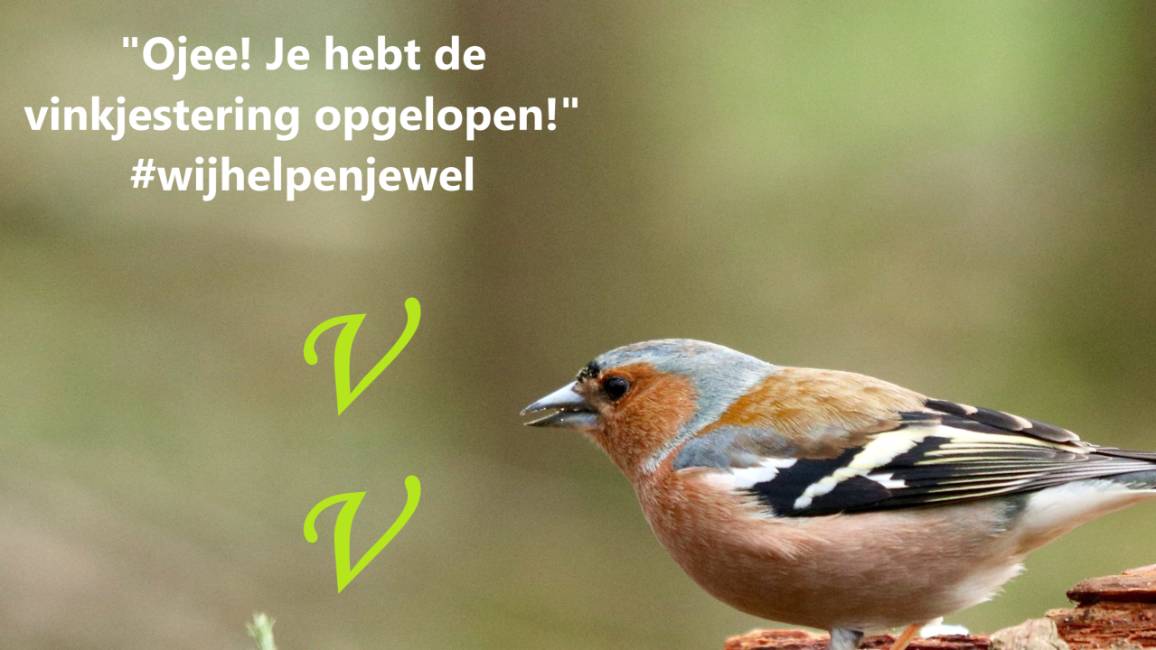 Wat Moet Ik Halen Om Een Voldoende Te Staan