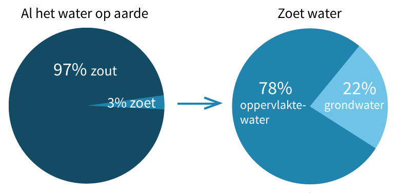 Mens en maatschappij leerjaar 6 | Aardrijkskunde | De aarde | Water - Voor Hoeveel Procent Bestaat Een Mens Uit Water