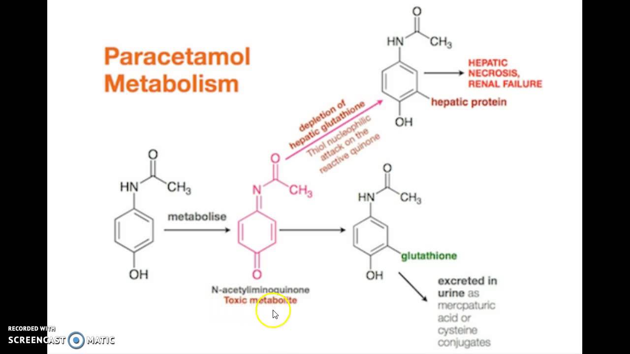 Wat Is De Werking Van Paracetamol
