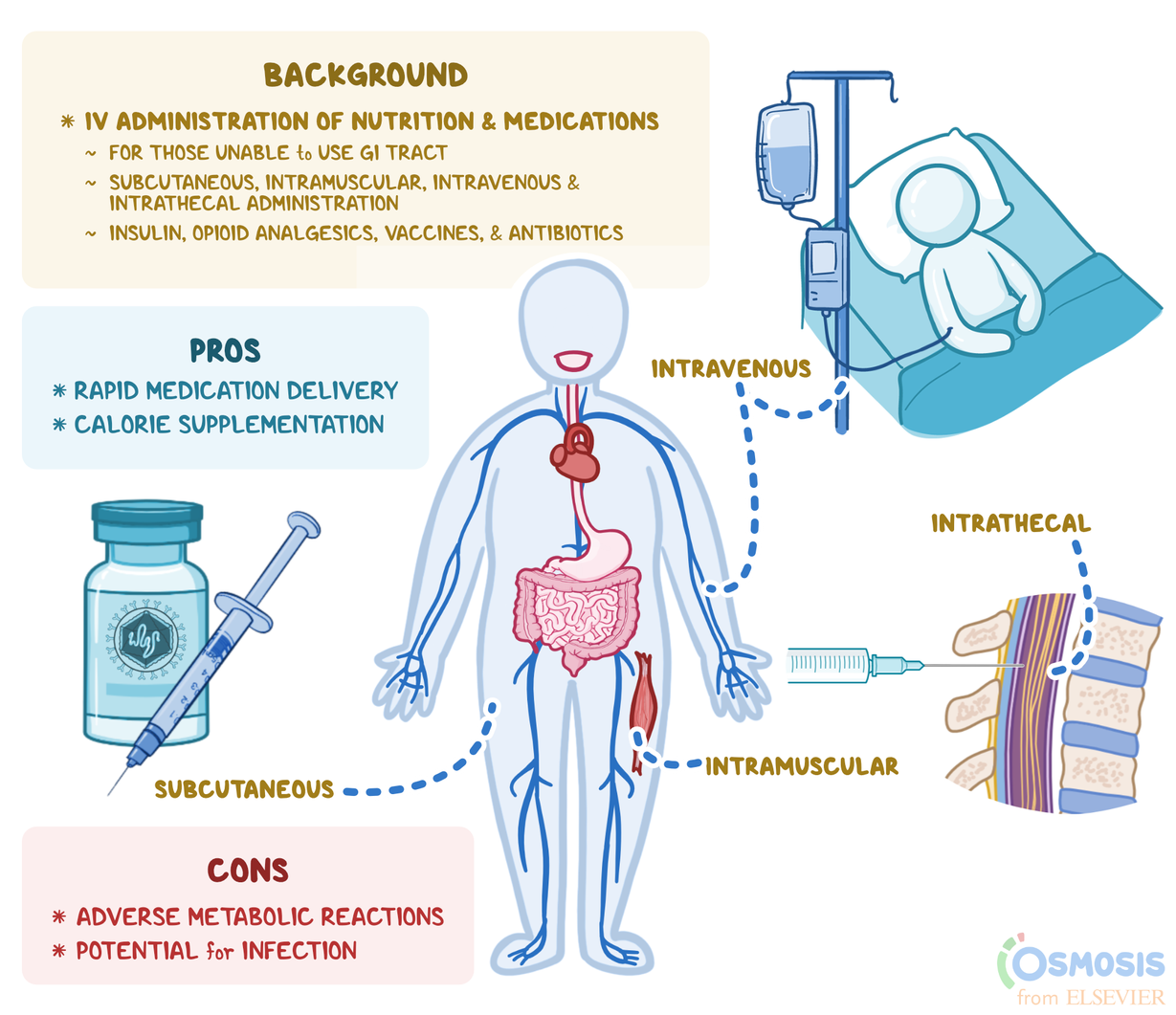 Methods Of Enteral Feeding - vrogue.co - Parenterale Voeding Voor En Nadelen
