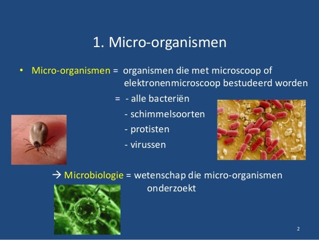 Micro organismen 1. Bacteriën - Welk Geneesmiddel Remt Of Doodt Micro Organismen