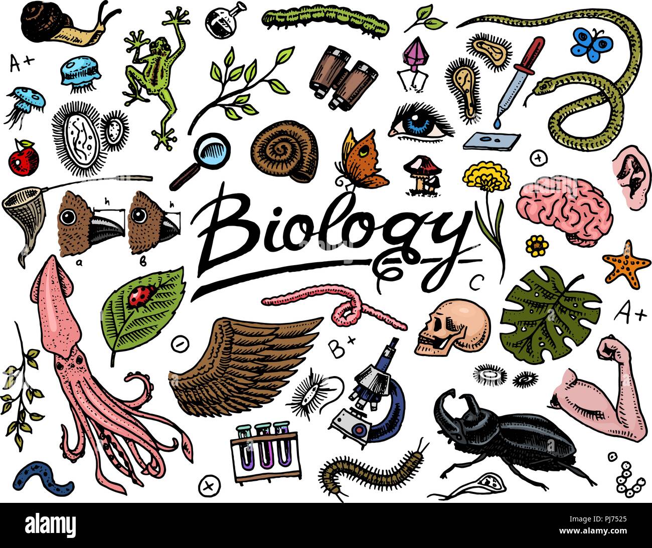 Microbiology Creative Illustrations Of Organisms Biol - vrogue.co - Biologie En Verzorging Voor Jou
