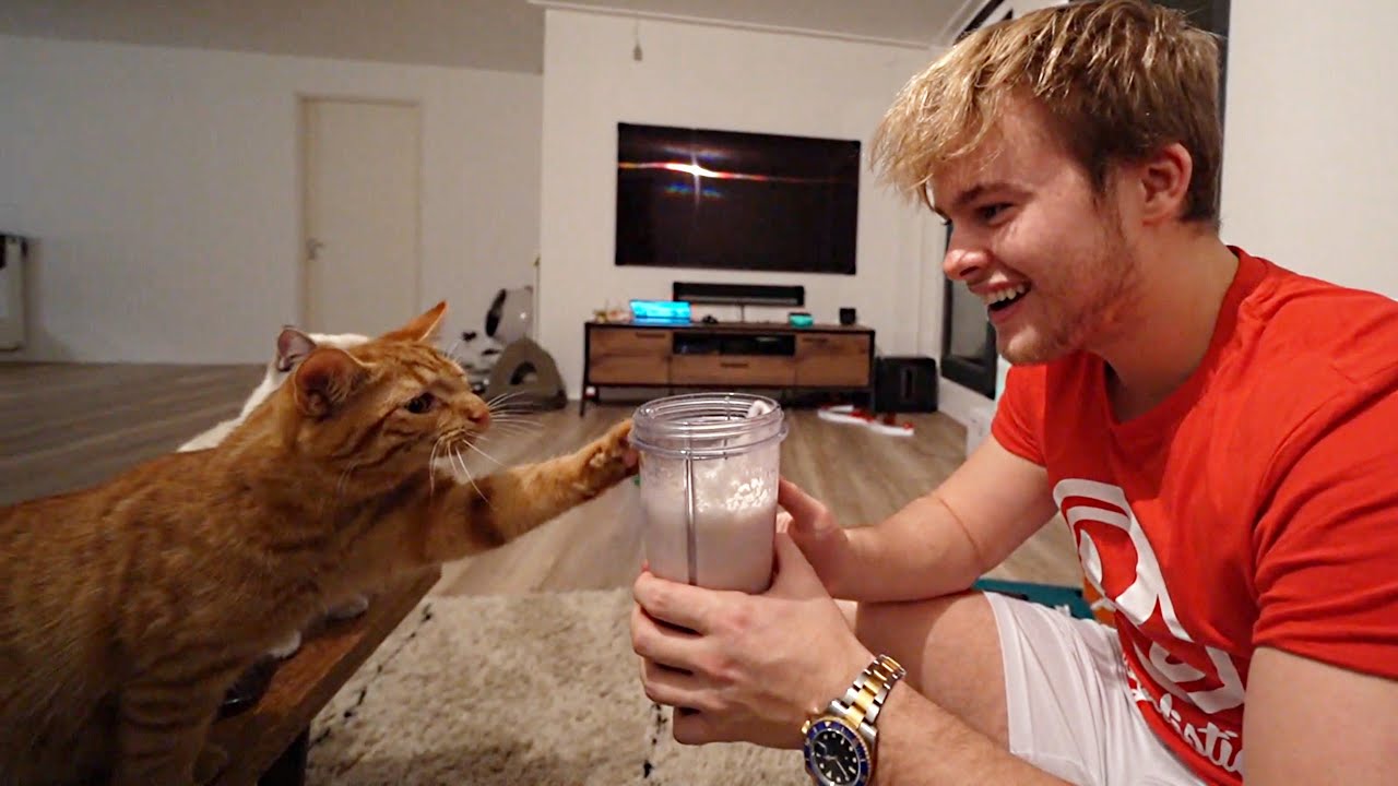 MIJN KAT WERD HELEMAAL GEK DOOR DIT DRANKJE! - YouTube - Een Rust Met Dit Drankje
