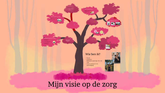 Mijn visie op de zorg by Kim Biesaart on Prezi - Wat Houd Verzorgende Ig In