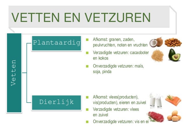 Verschil Verzadigde En Onverzadigde Vetten