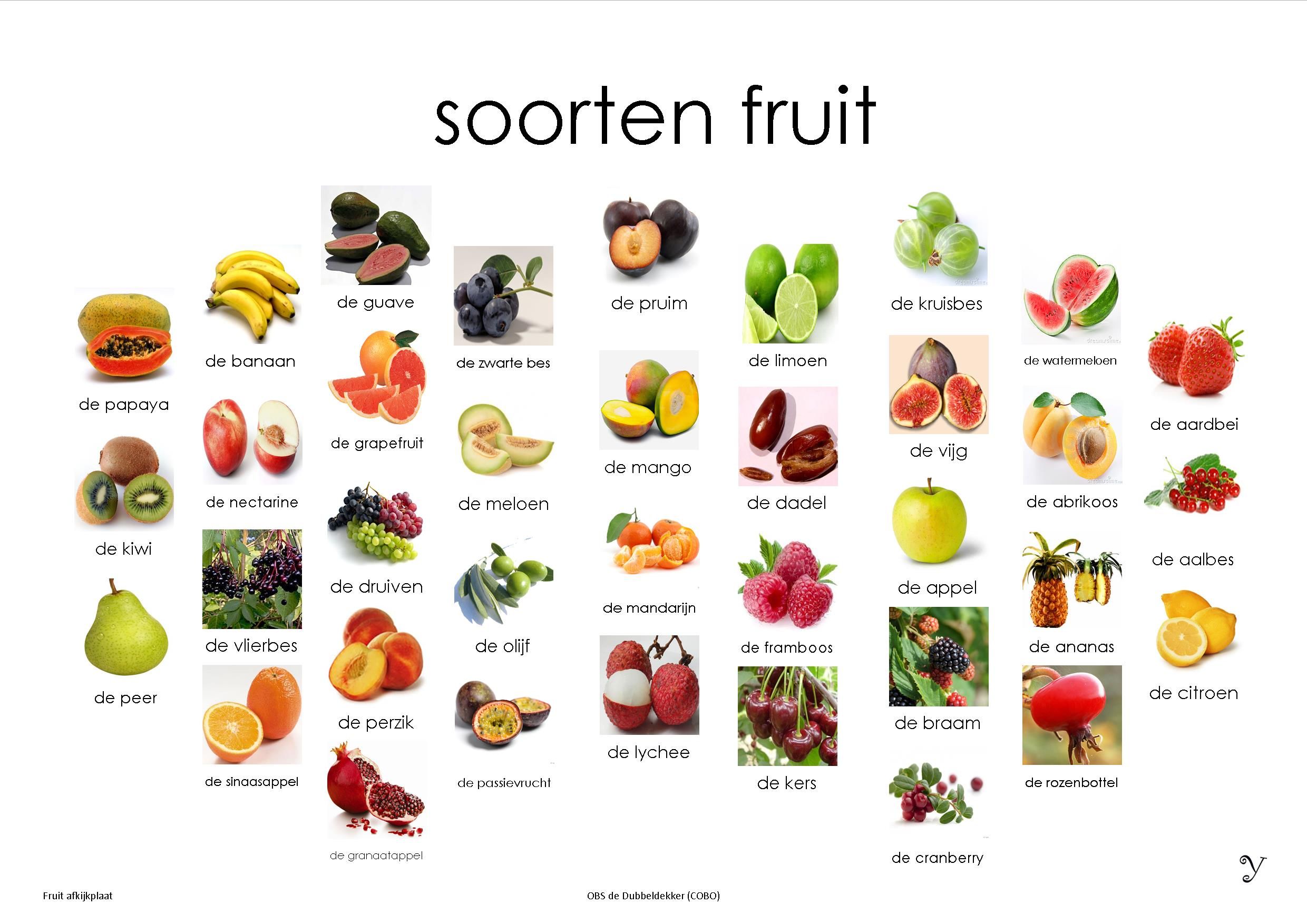 Mini Loco Fruit, afkijkplaat Therapy Activities, Activities For Kids - Welk Fruit Is In Het Seizoen