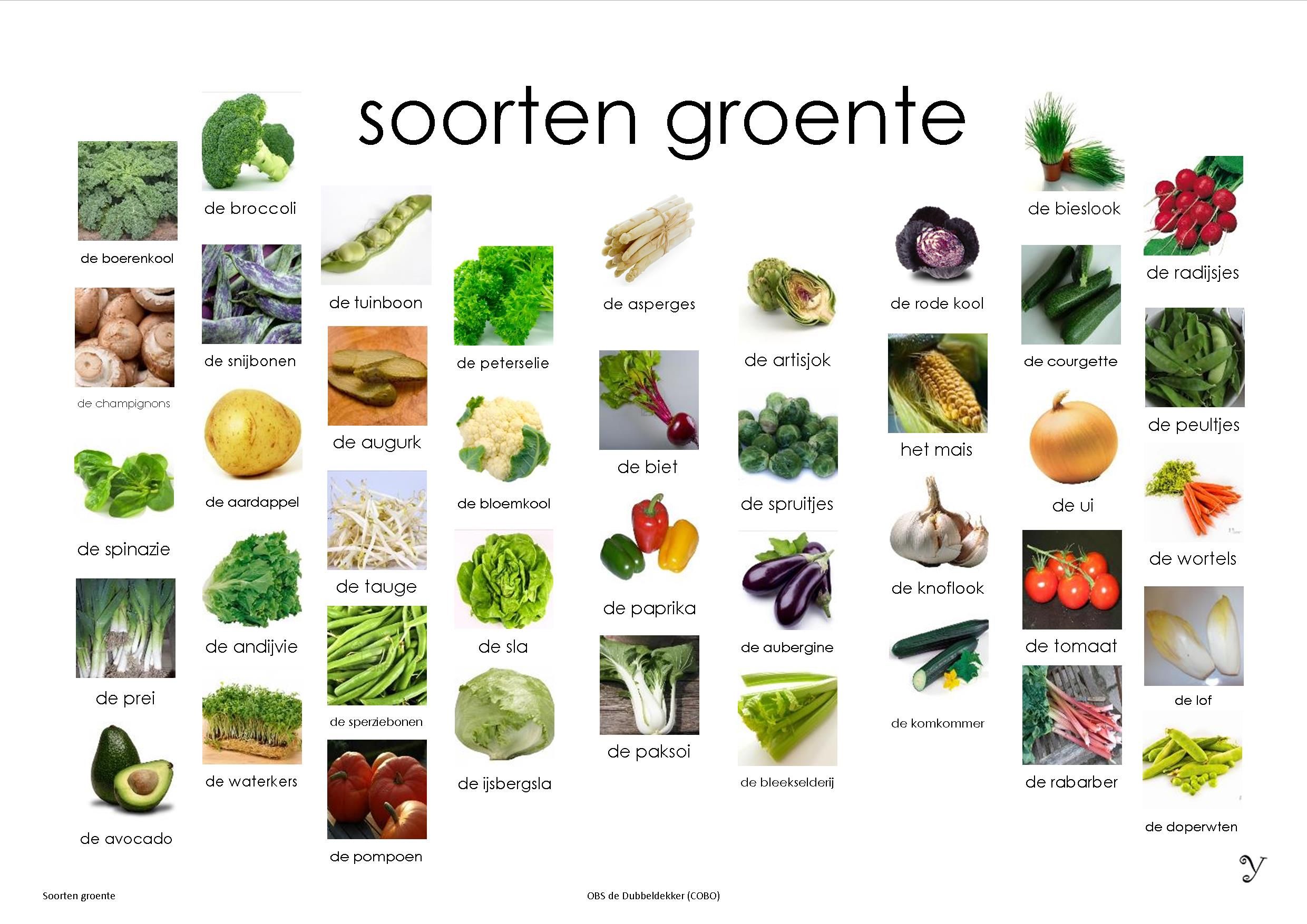 Mini Loco Groenten, afkijkplaat Learn Dutch, Dutch Language, Language - Hoeveel Gram Groenten Per Persoon