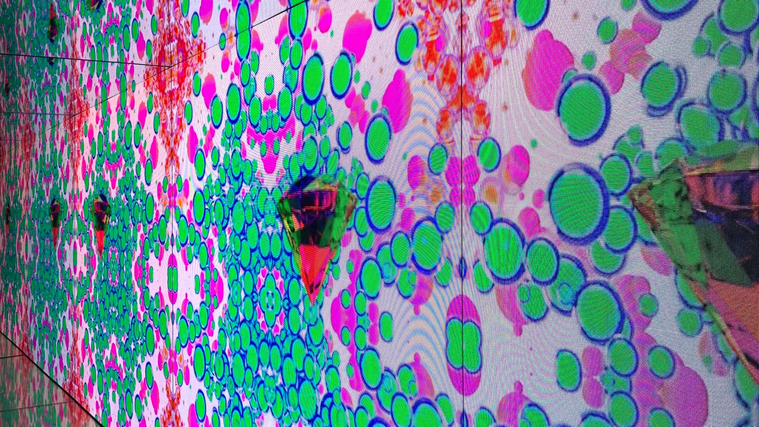 Moco Museum | A digital art exhibition | Mr.Beam - Moco Museum Honthorststraat ámsterdam Países Bajos