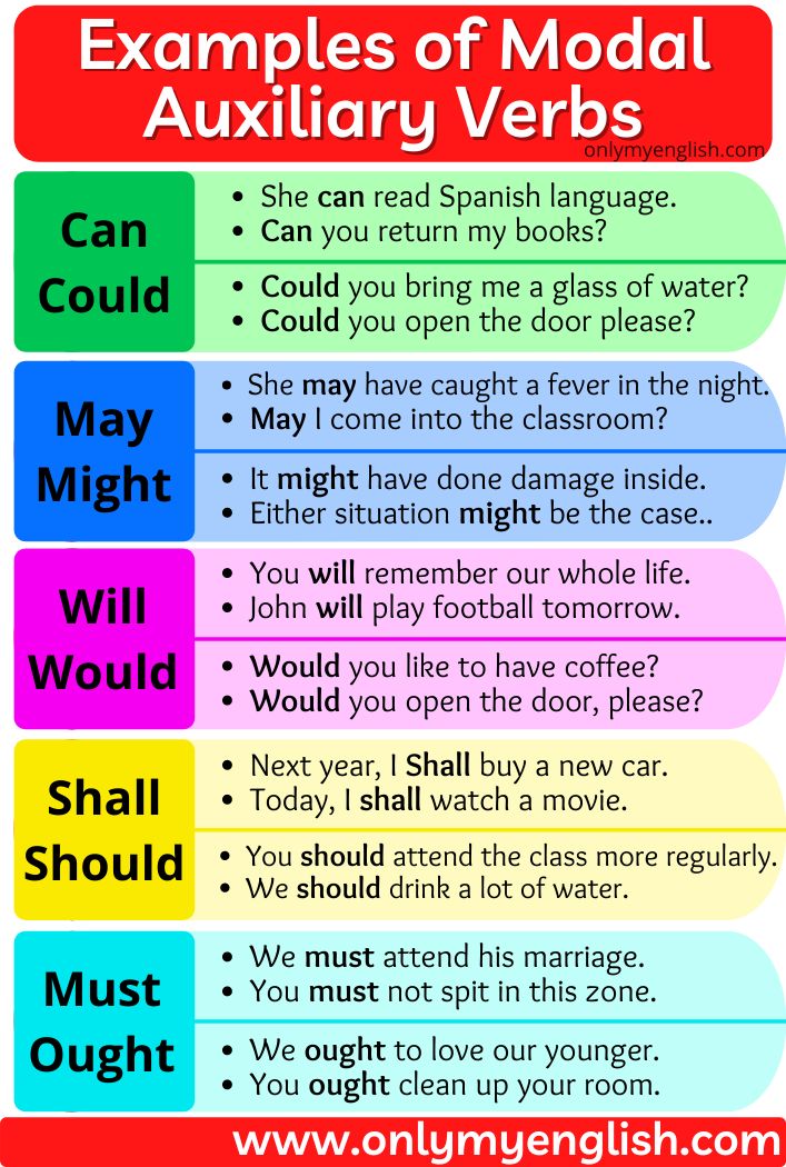 Auxiliary Verb And Modal Verb