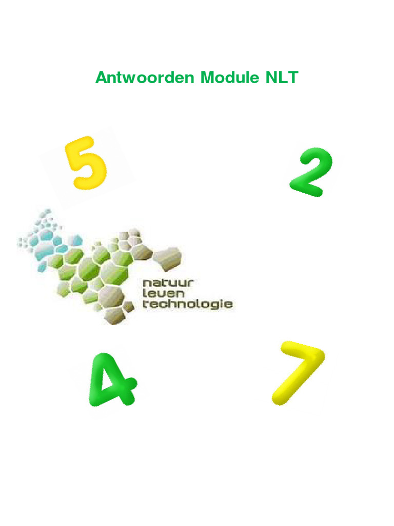 Antwoorden Nlt Rijden Onder Invloed