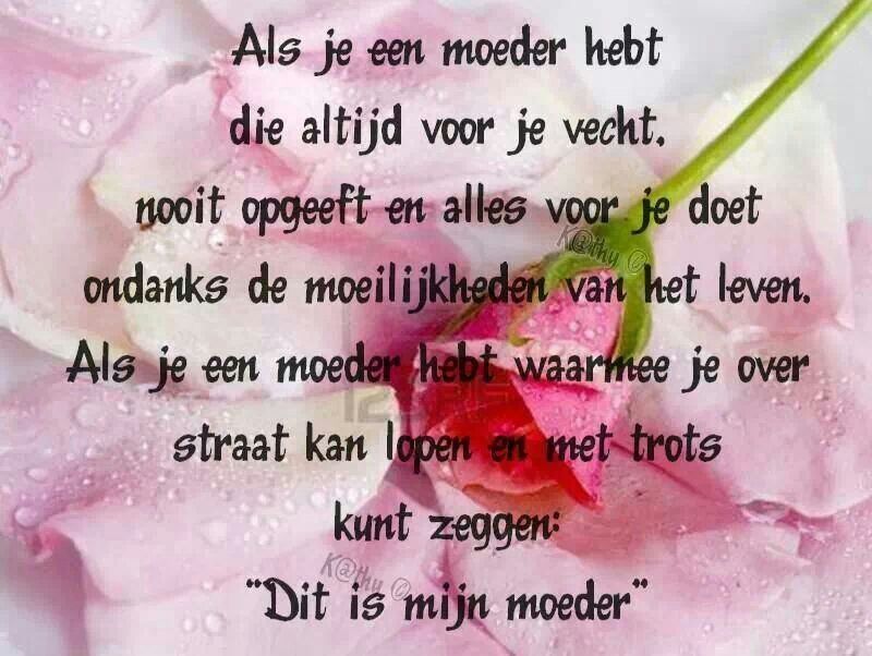 Gedicht Voor Een Moeder