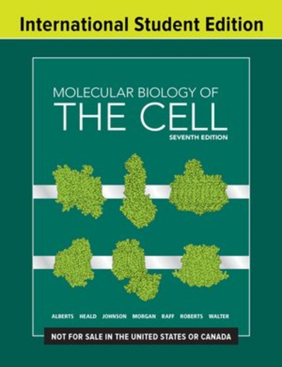 Molecular Biology of the Cell | NHBS Academic & Professional Books - Molecular Biology Of The Cell