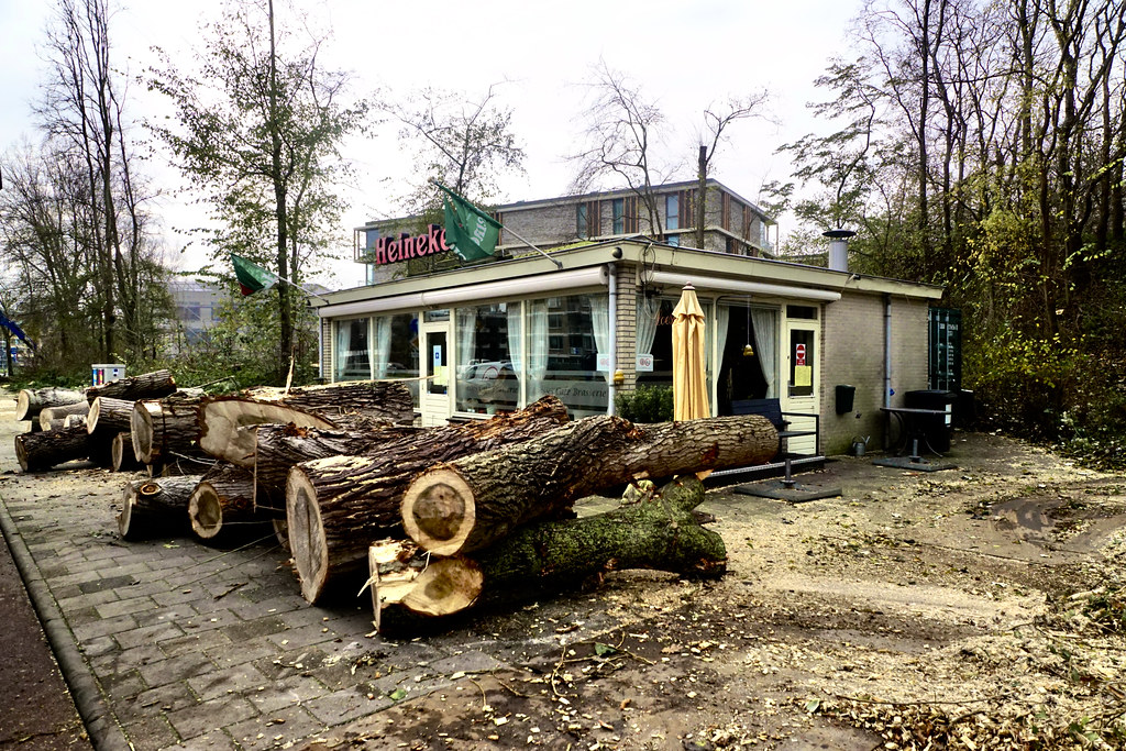 Mooie bos hout voor de deur | Roel Wijnants | Flickr - Bos Hout Voor De Deur Betekenis